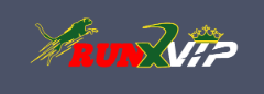 Discover the Thrills of Online Betting with Runx Bet 34